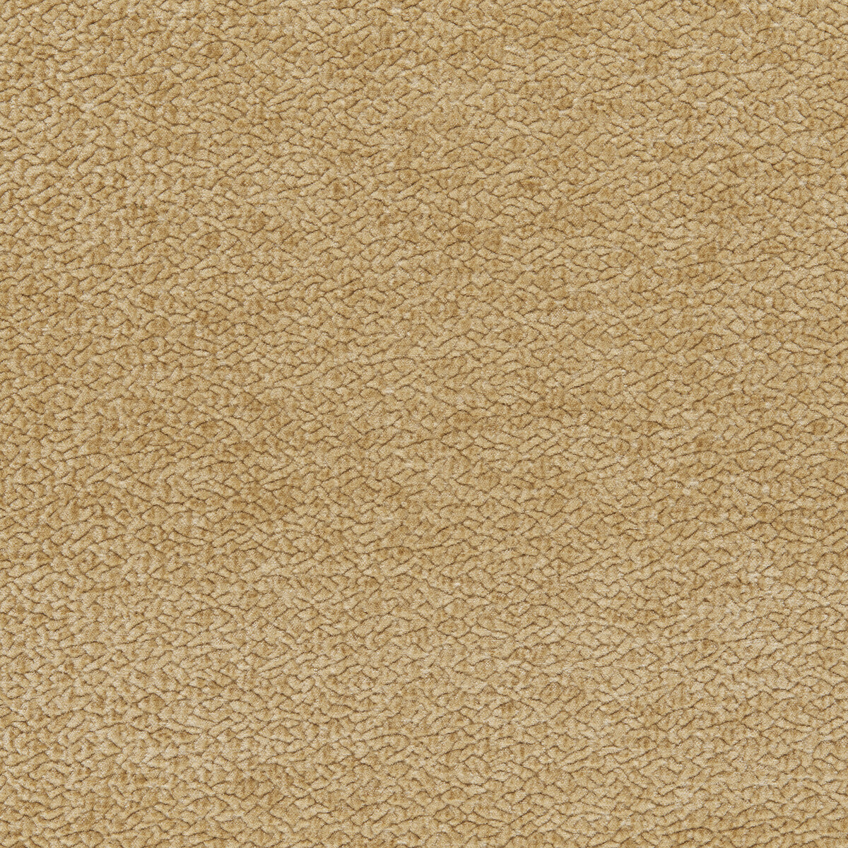 3607411600-barton-chenille-nut-kravet-smart