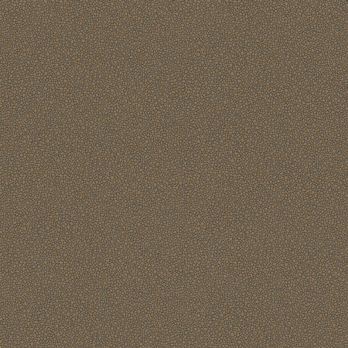 1079044cs0-goldstone-black-bronze-cole-son