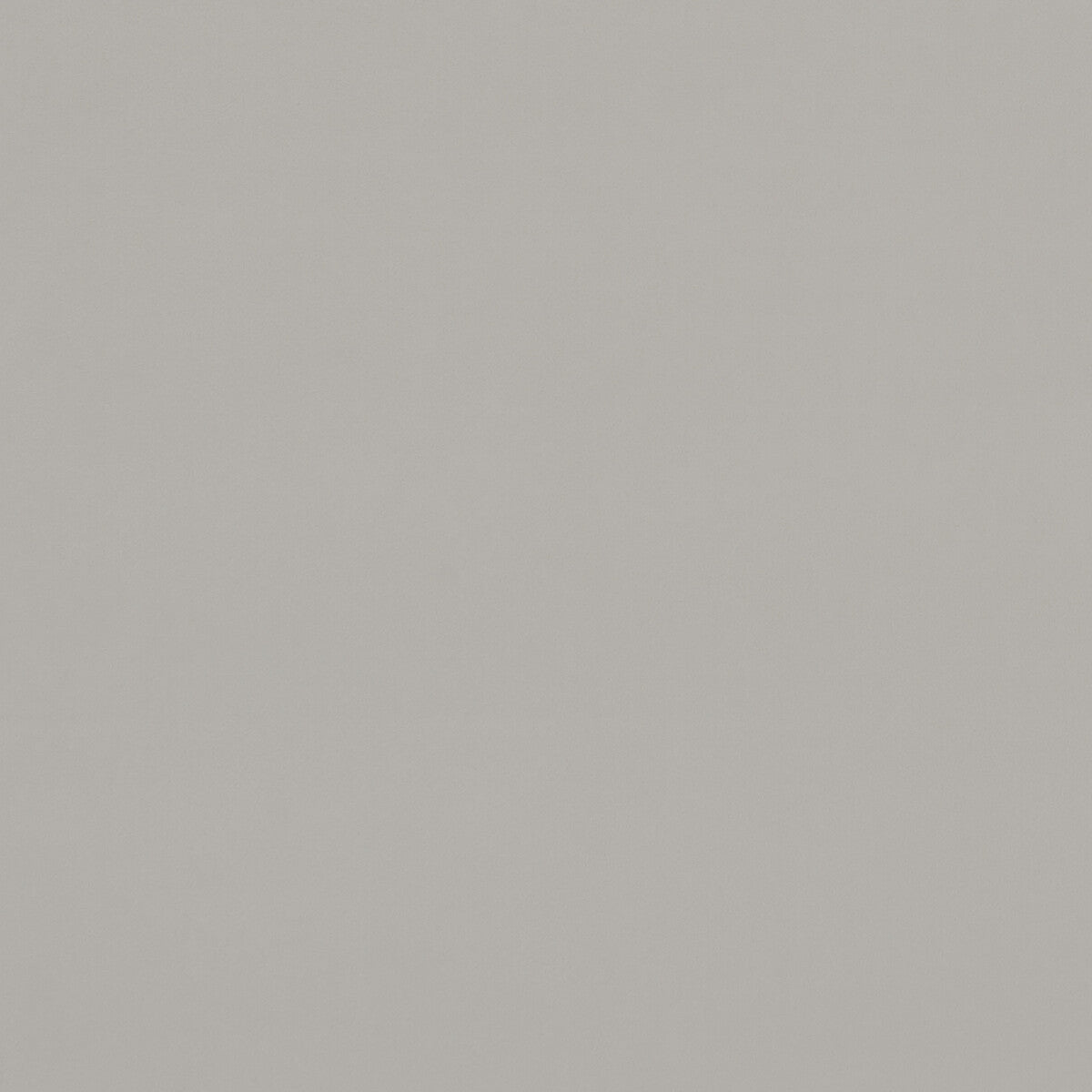 f075388cac0-alvar-pebble-clarke-and-clarke - CLARKE AND CLARKE Fabric