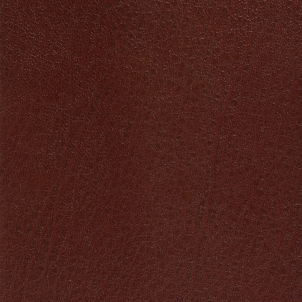 celine90-kravet-basics-celine-9 - KRAVET BASICS Fabric