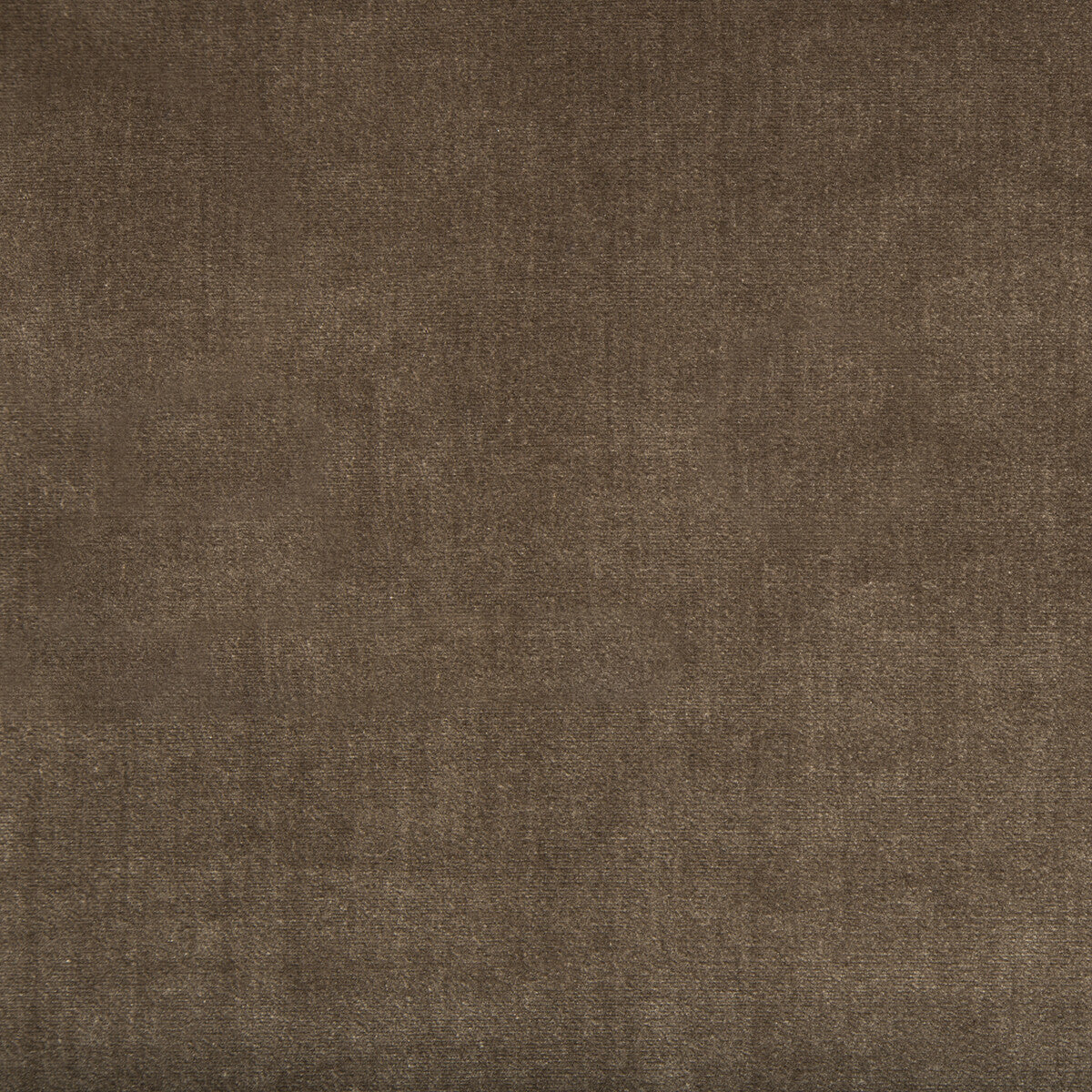 3464160-duchess-velvet-mink-kravet-couture
