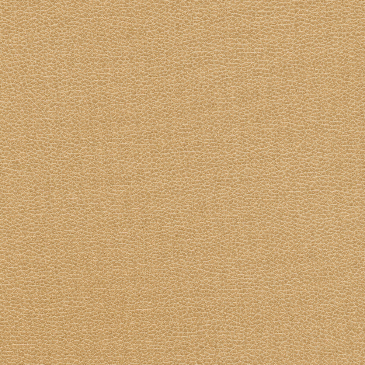 tannin160-kravet-design-tannin-16-kravet-design - KRAVET DESIGN Fabric