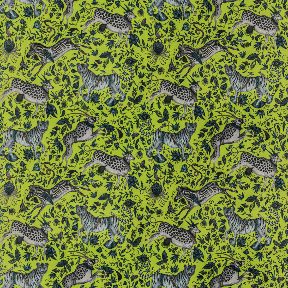 f147904cac0-protea-velvet-lime-clarke-and-clarke
