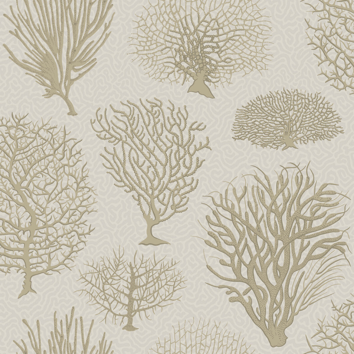 1072010cs0-seafern-stone-cole-son