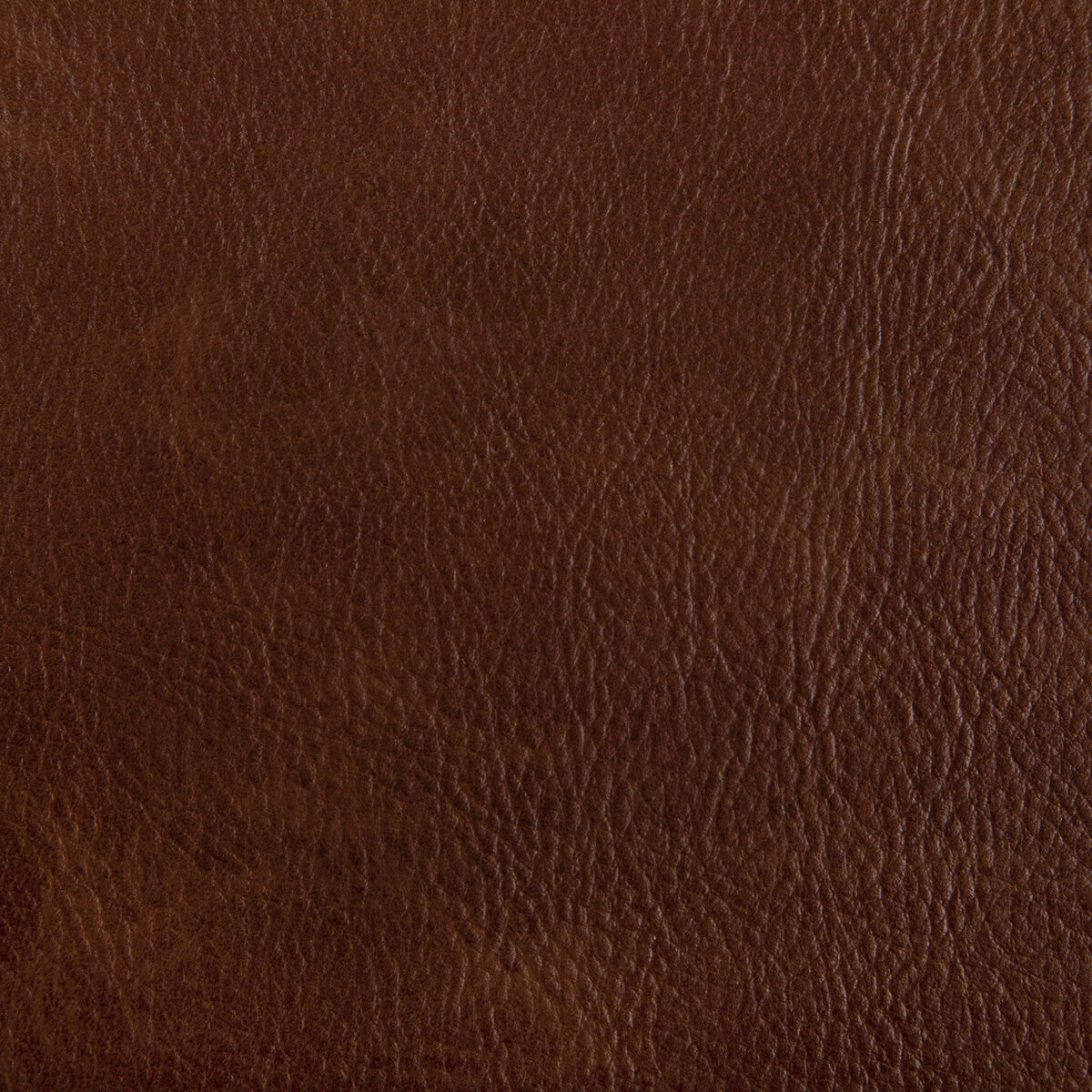 toni6160-toni-cognac-kravet-contract - KRAVET CONTRACT Fabric