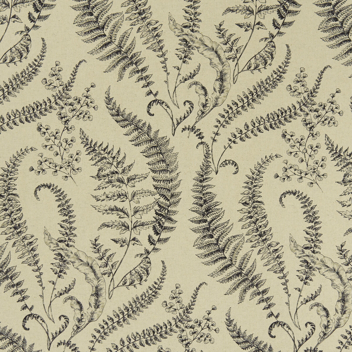 f132804cac0-folium-linen-clarke-and-clarke