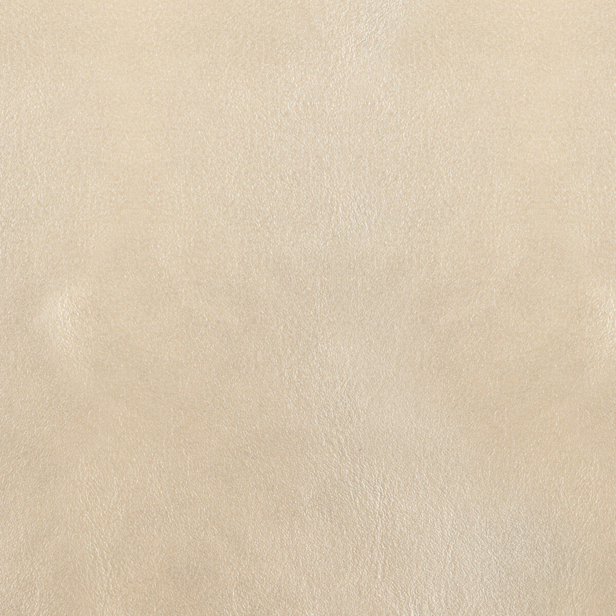 l-botaalabaster0-kravet-design-l-bota-alabaster-kravet-design