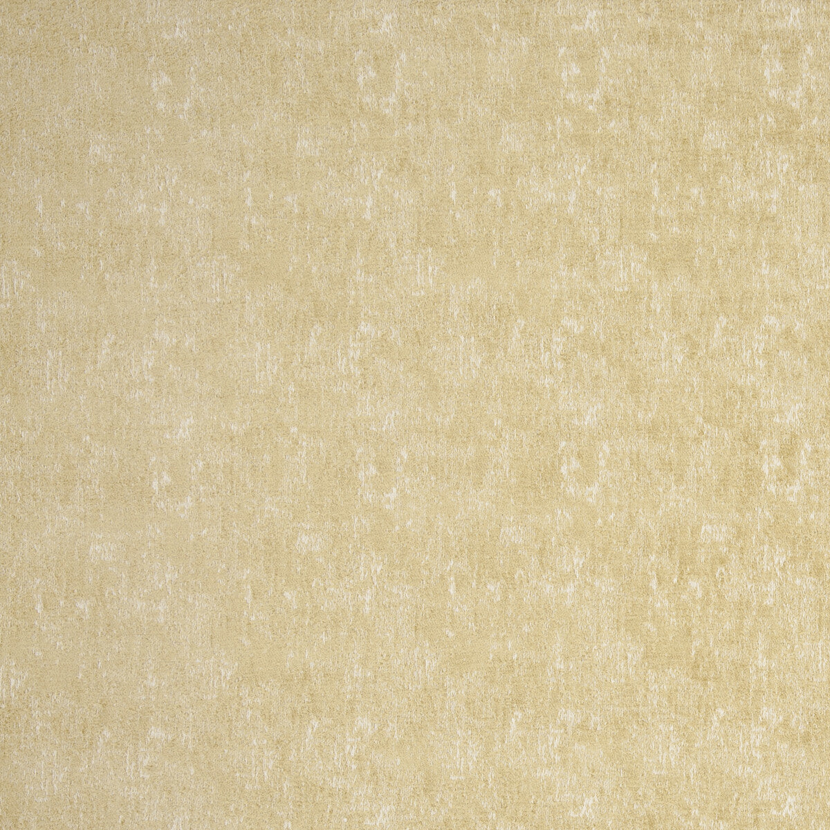 f079502cac0-nesa-antique-clarke-and-clarke - CLARKE AND CLARKE Fabric