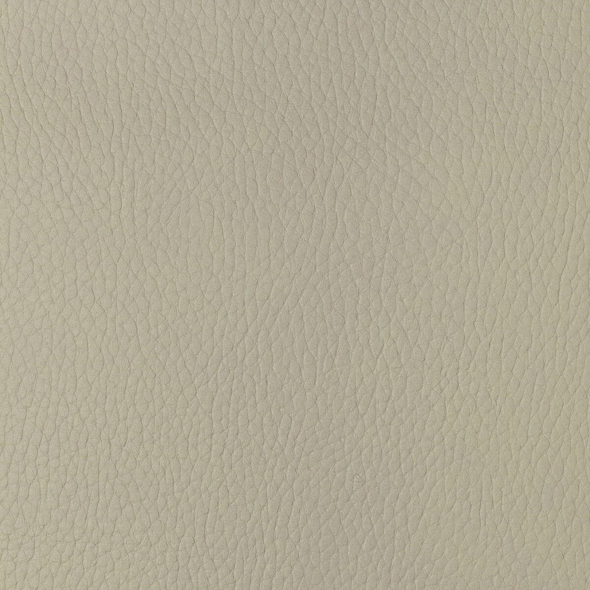 sugarmaple10-kravet-design-sugarmaple-1-kravet-design