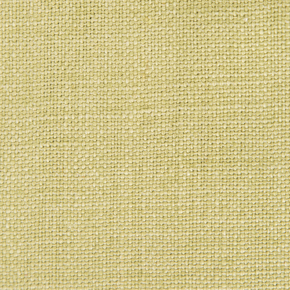 gdt52390110-nicaragua-verde-claro-gaston-y-daniela