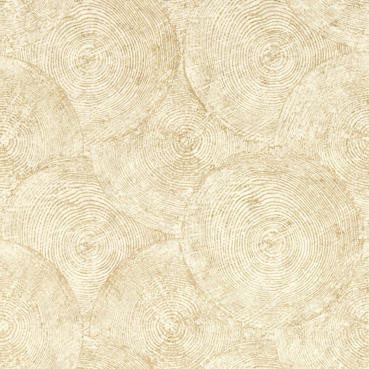 w020905cac0-silvan-sahara-wp-clarke-and-clarke - CLARKE AND CLARKE Wallpaper