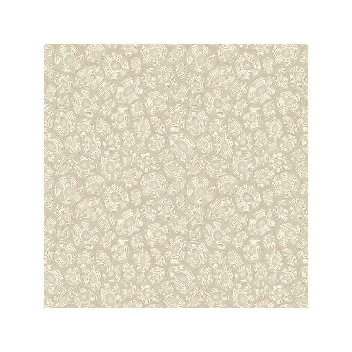 1194021cs0-savanna-shell-parchment-cole-son