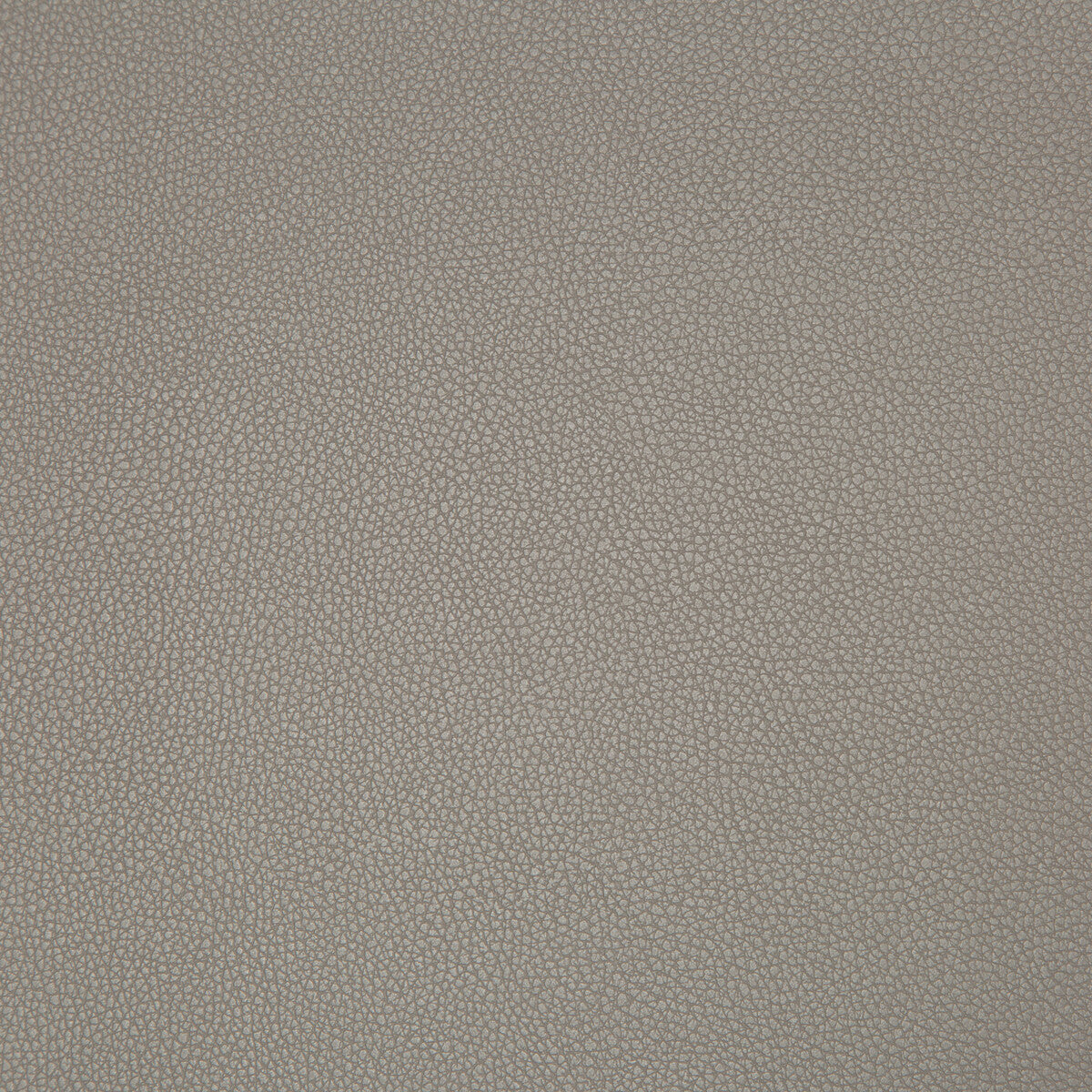 syrus21060-syrus-truffle-kravet-contract