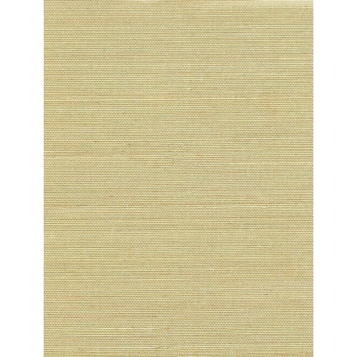 wnw2248wt0-acapella-sand-winfield-thybony - WINFIELD THYBONY Wallpaper