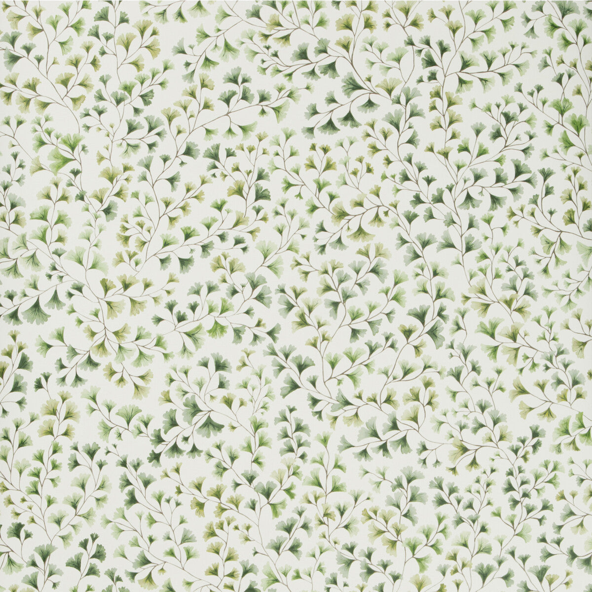 1156018cs0-maidenhair-olive-cole-son