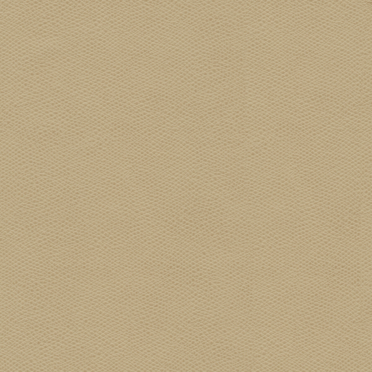 cured1060-kravet-design-cured-106-kravet-design - KRAVET DESIGN Fabric