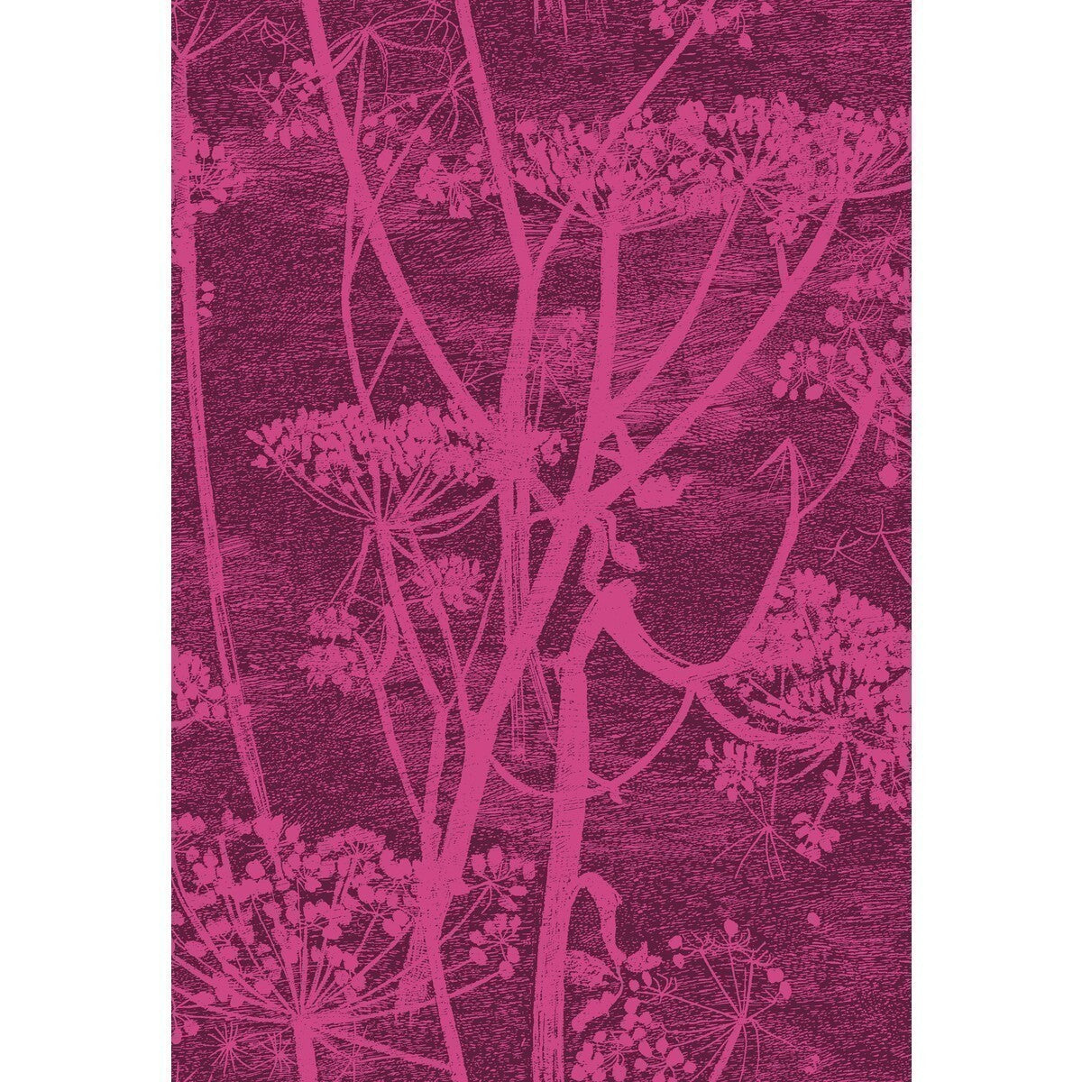 f1115017cs0-cow-parsley-print-magentapalm-cole-son