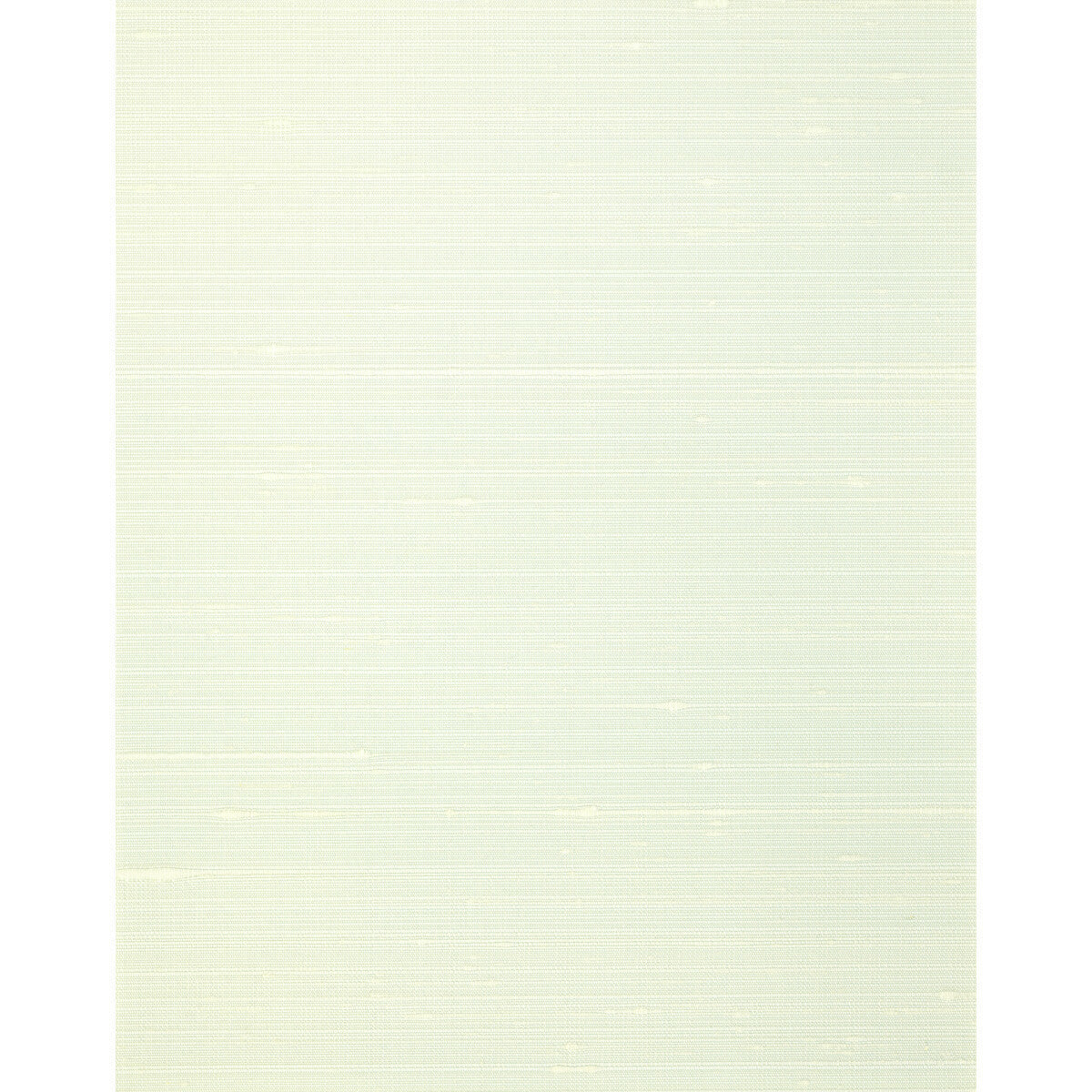 wns5548wt0-misheo-mint-winfield-thybony - WINFIELD THYBONY Wallpaper