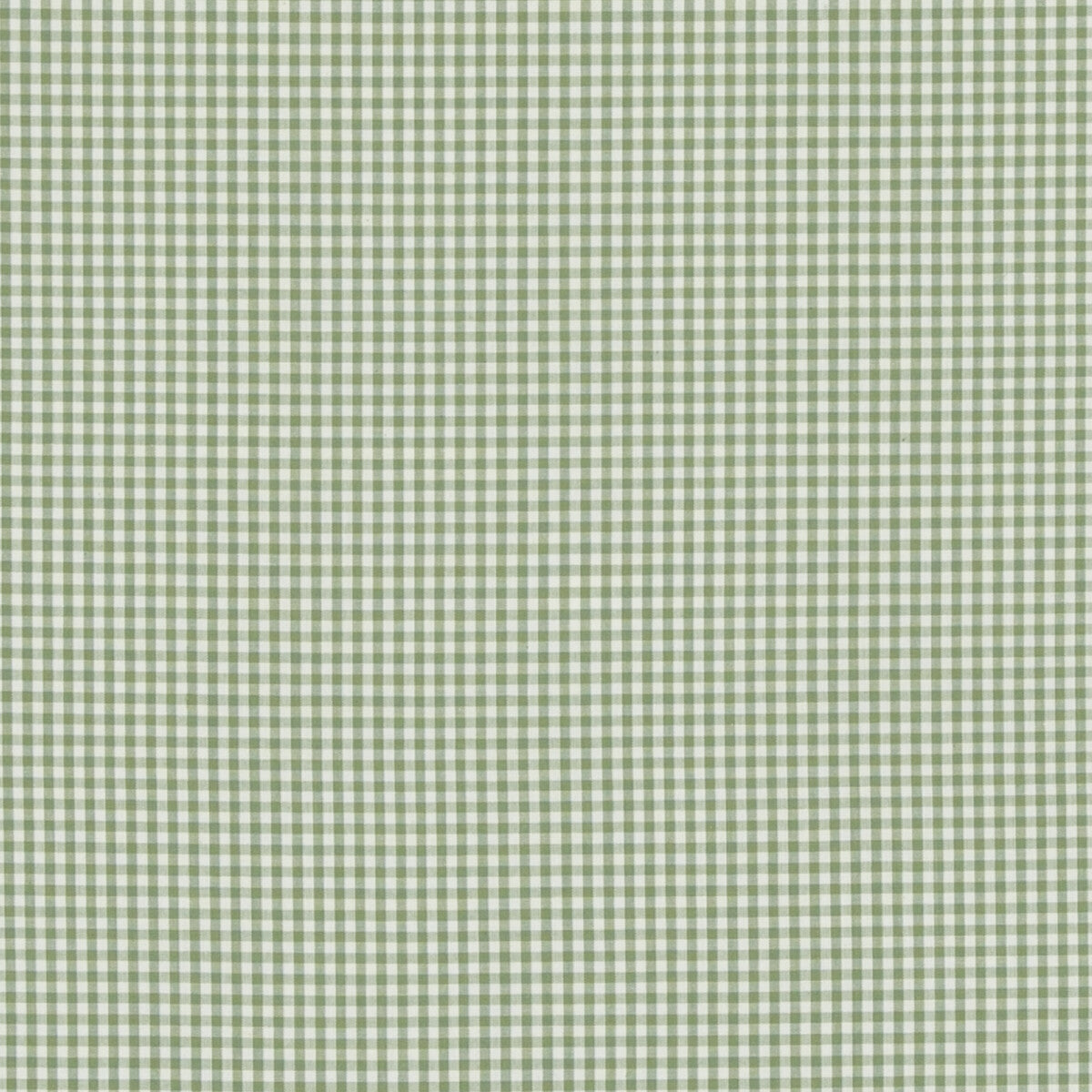 pf505067350-sherborne-gingham-green-baker-lifestyle
