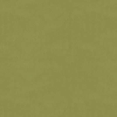 br-810814890-ninon-taffetas-fern-brunschwig-fils - BRUNSCHWIG & FILS Fabric