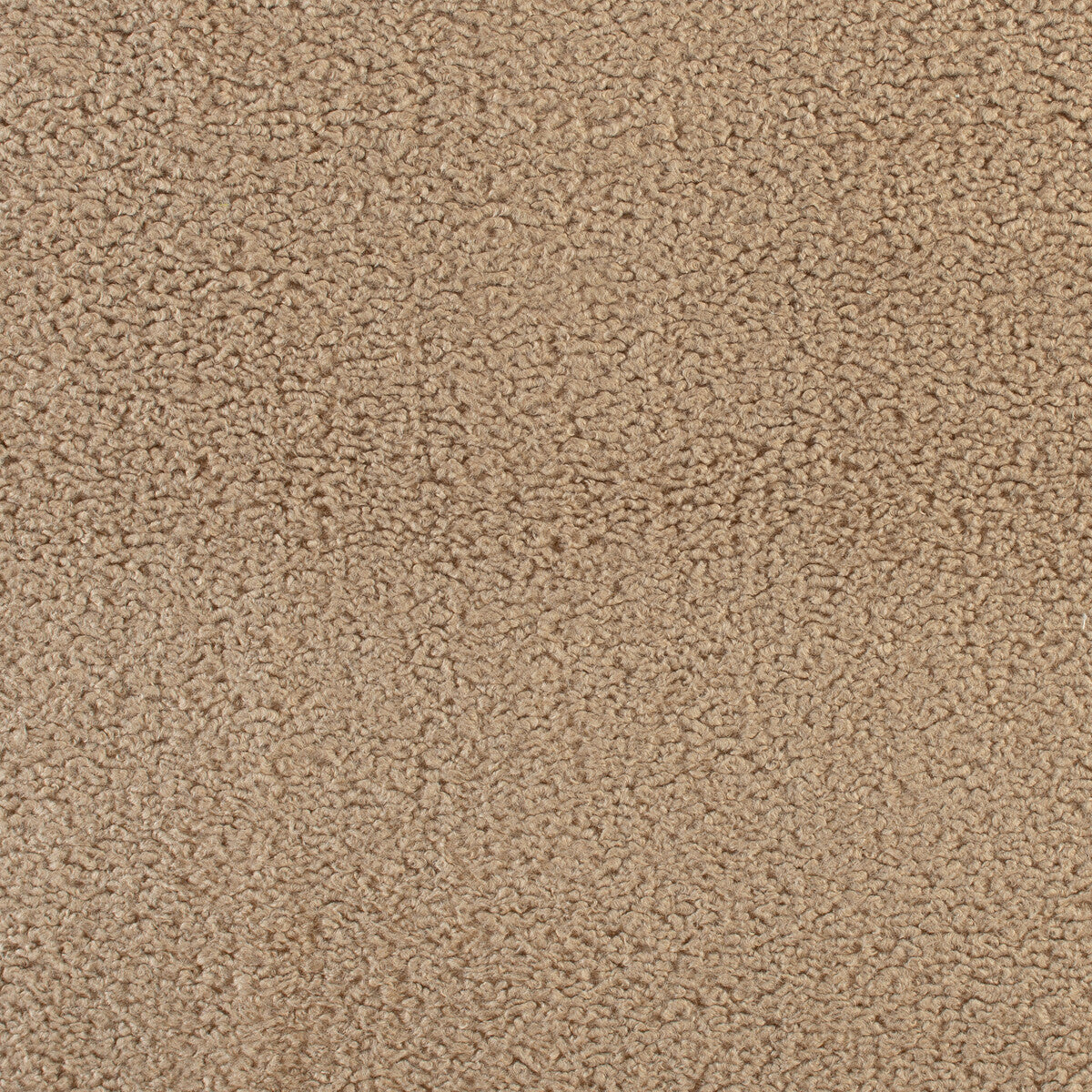 35900160-curly-pebble-kravet-basics