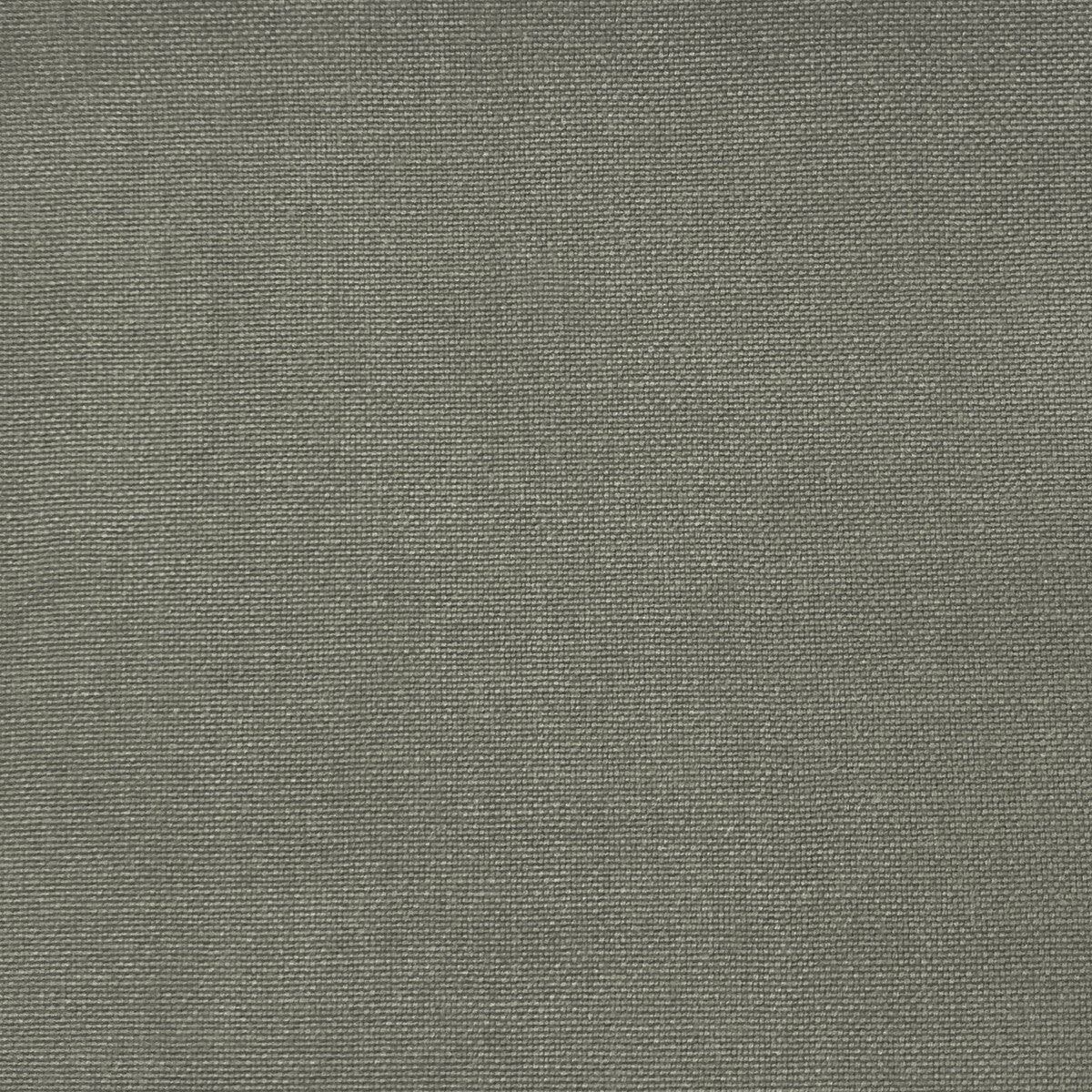 gdt56880770-palma-gris-gaston-y-daniela