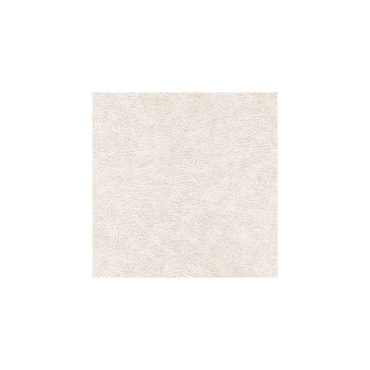 wpw1123wt0-enduring-desert-winfield-thybony - WINFIELD THYBONY Wallpaper