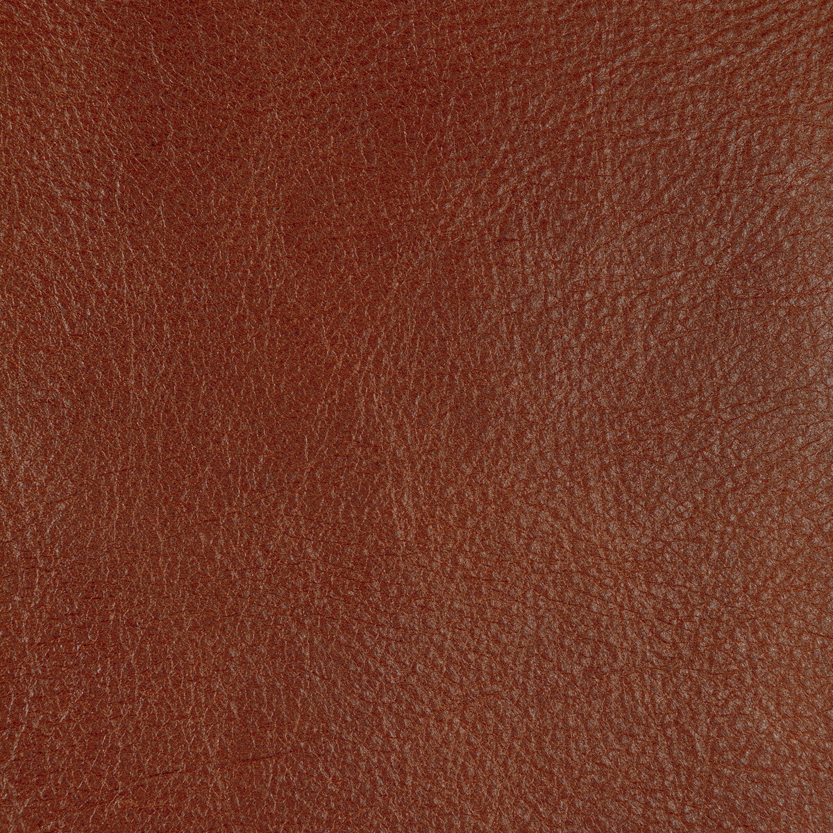 l-cannonsienna0-kravet-design-l-cannon-sienna-kravet-design