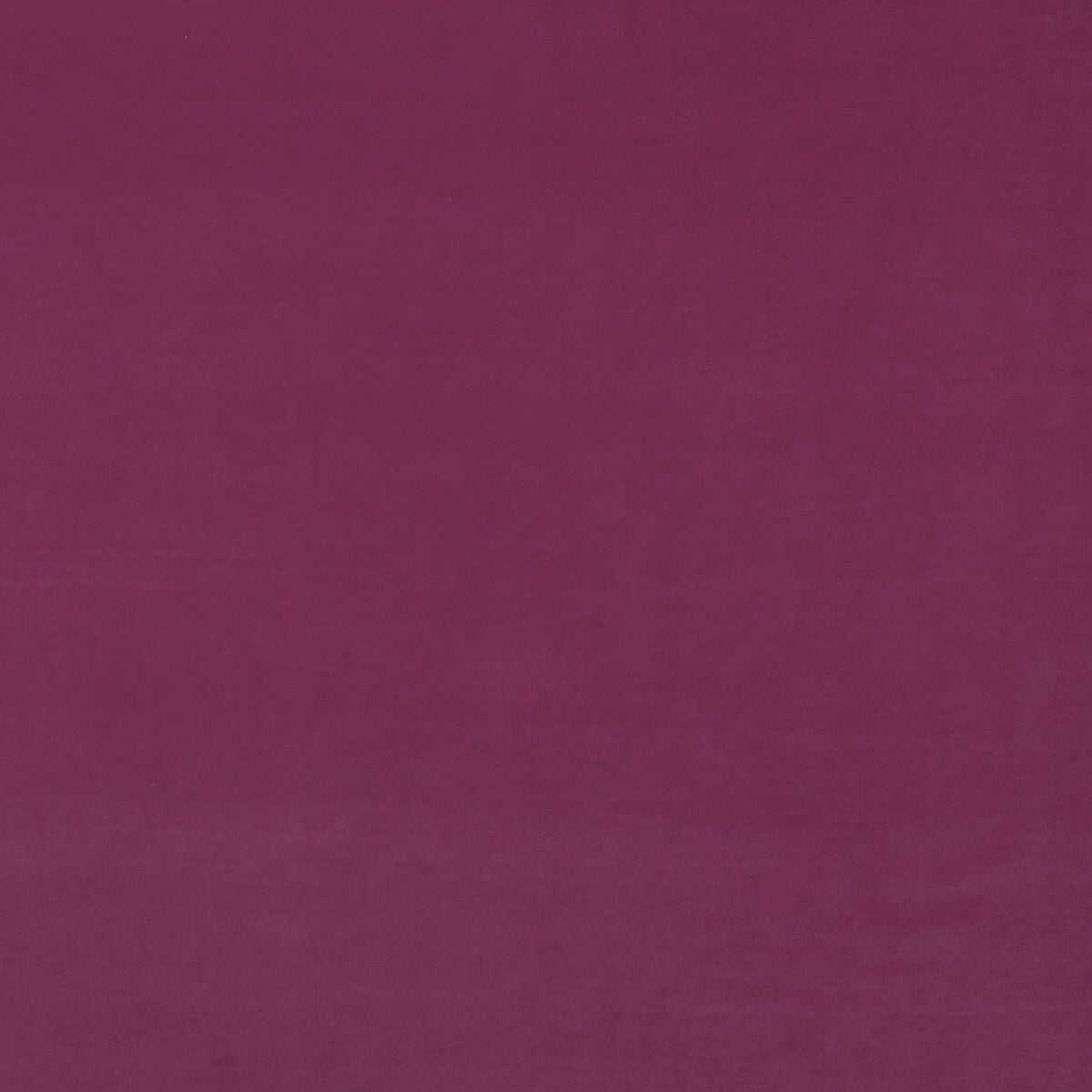 am10044370-medici-geranium-kravet-couture
