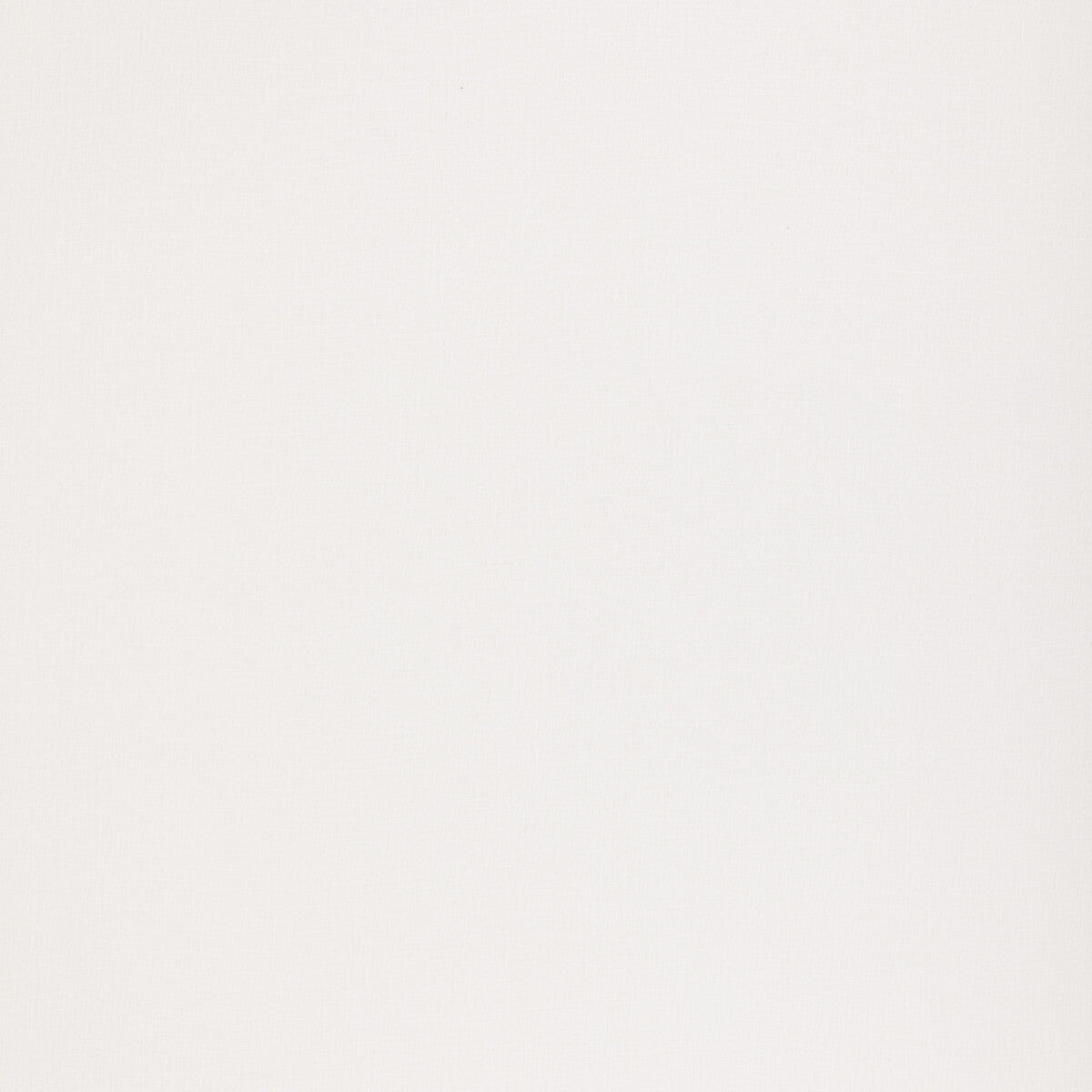 ed853861040-plateau-ivory-threads - THREADS Fabric