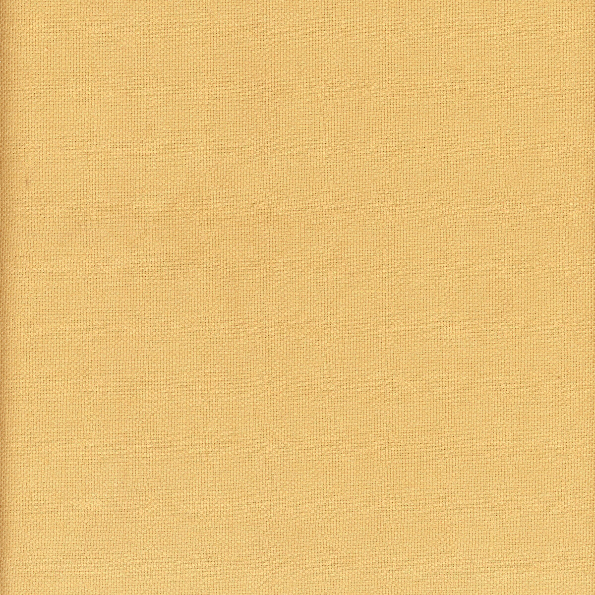 am10034640-beagle-acacia-kravet-couture