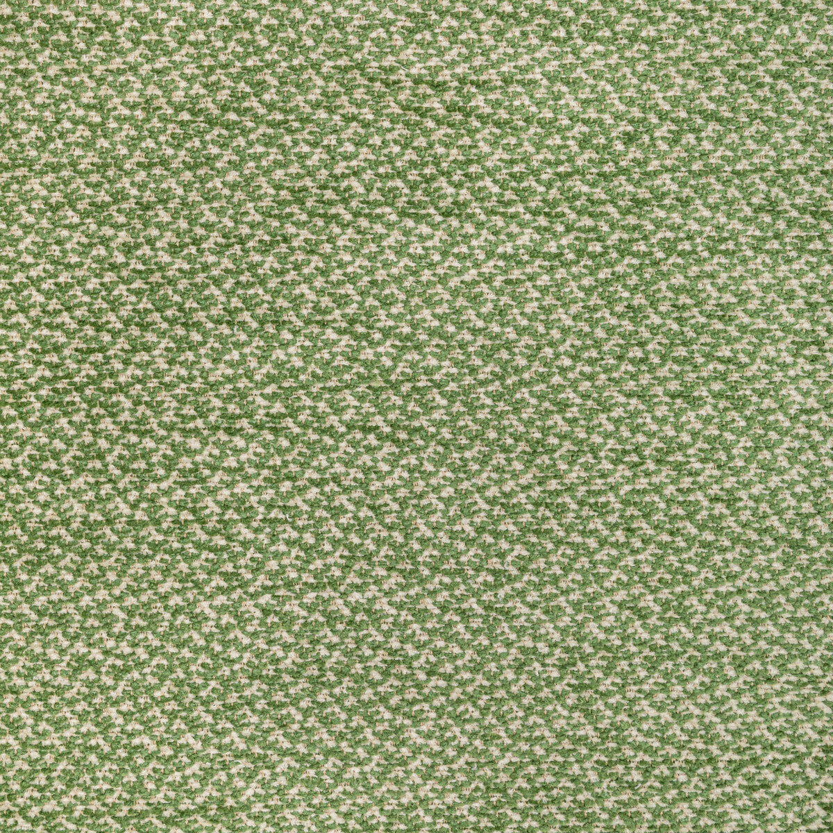 802212230-sasson-texture-green-brunschwig-fils - BRUNSCHWIG & FILS Fabric