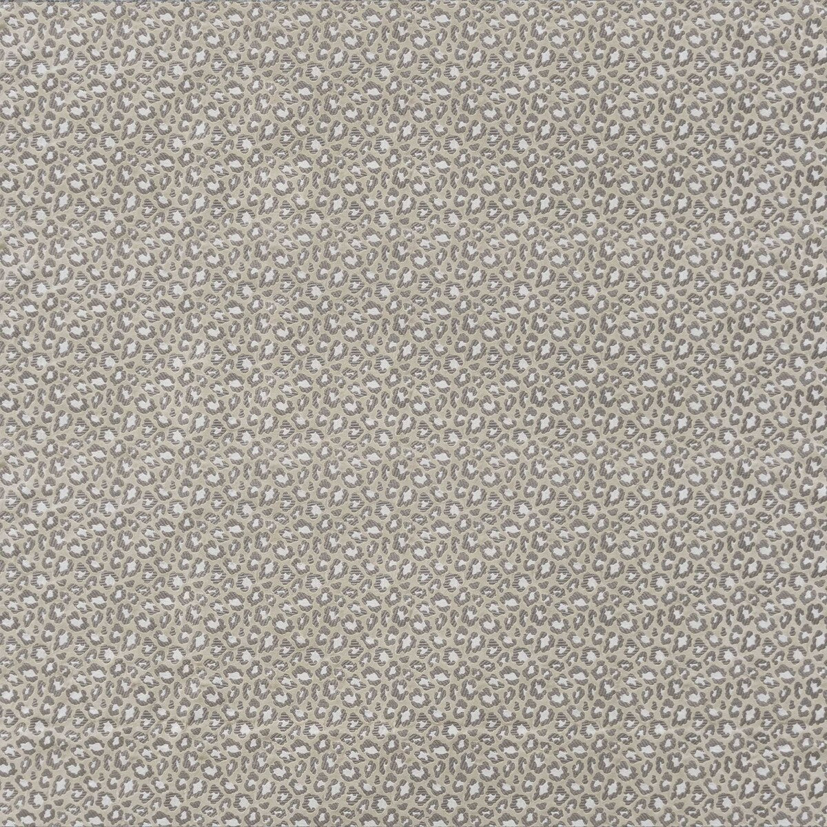 lct11510010-capricornio-crudo-gaston-y-daniela