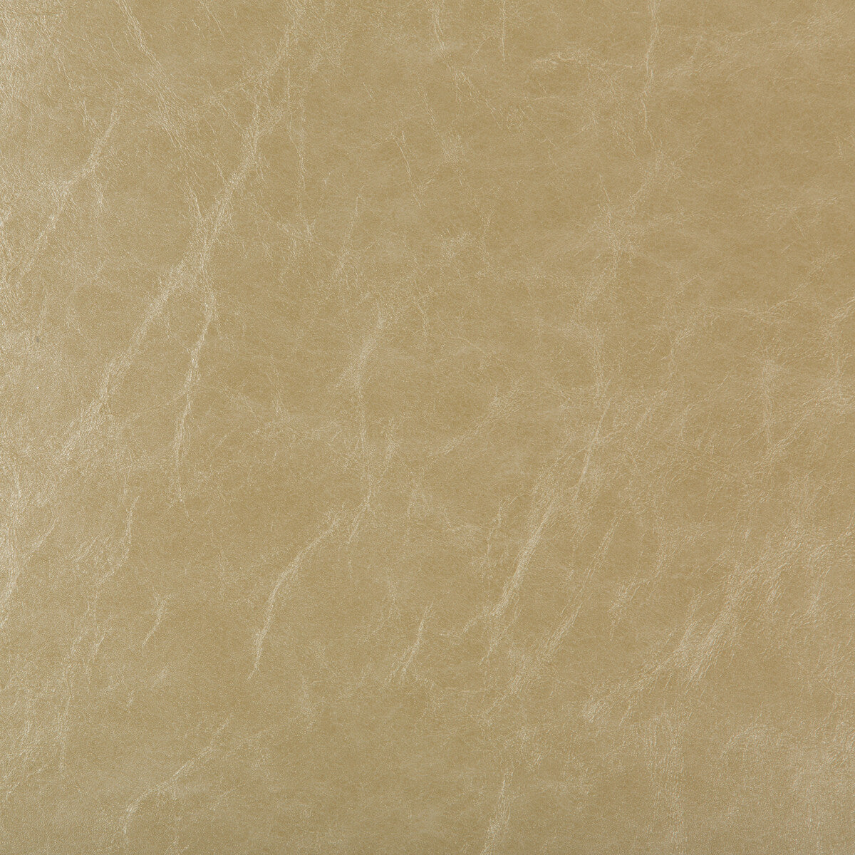 duncan160-kravet-design-duncan-16-kravet-design
