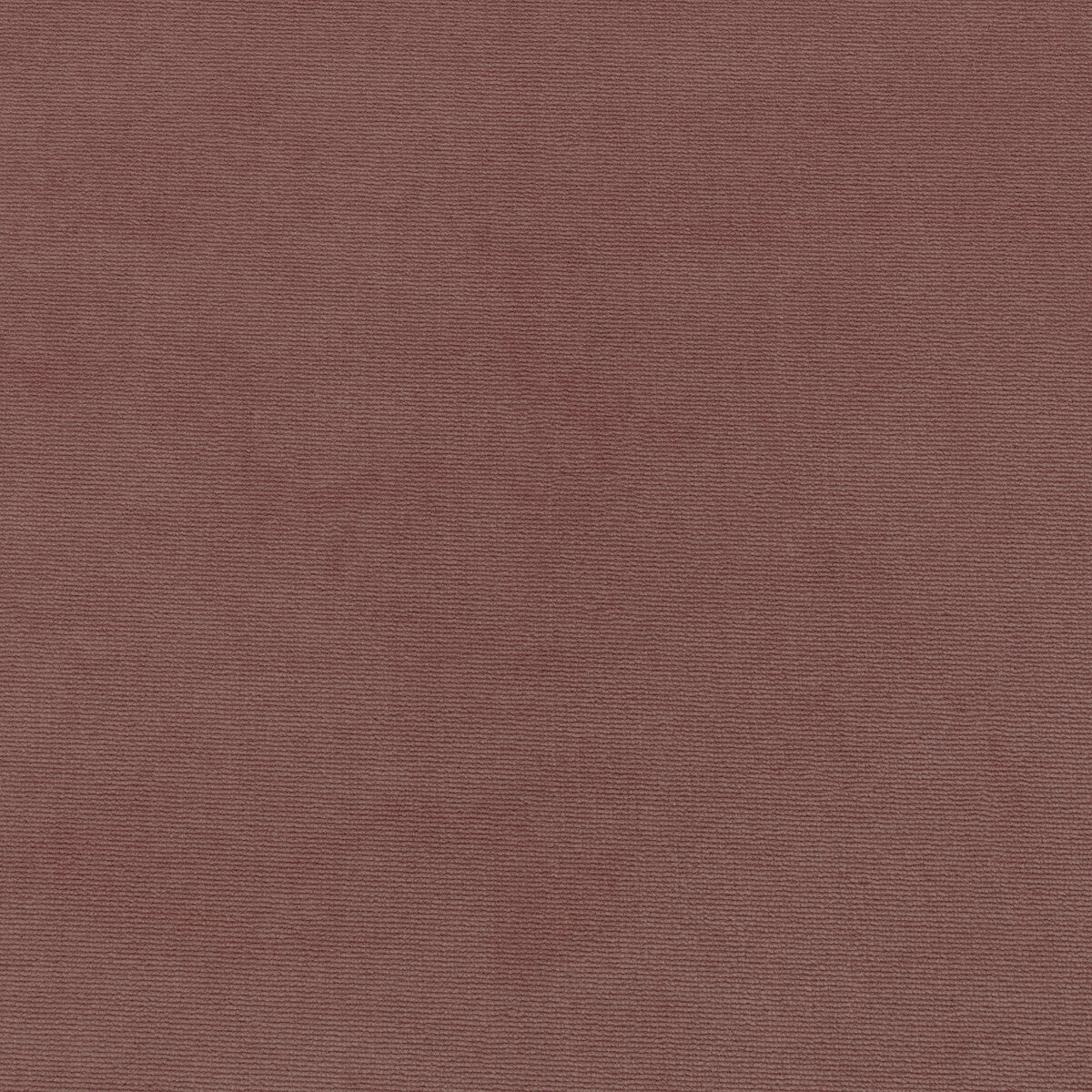 36111770-kravet-smart-36111-77-kravet-smart