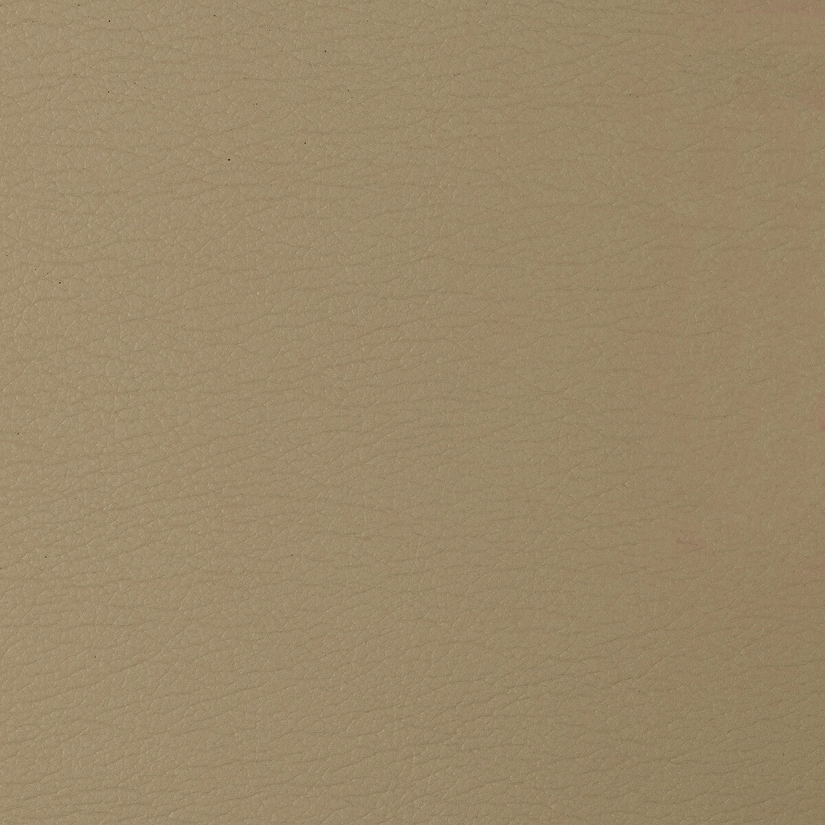 cara1160-kravet-design-cara-116-kravet-design