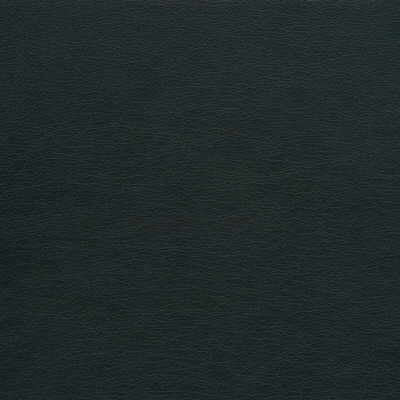 gato210-kravet-design-gato-21-kravet-design