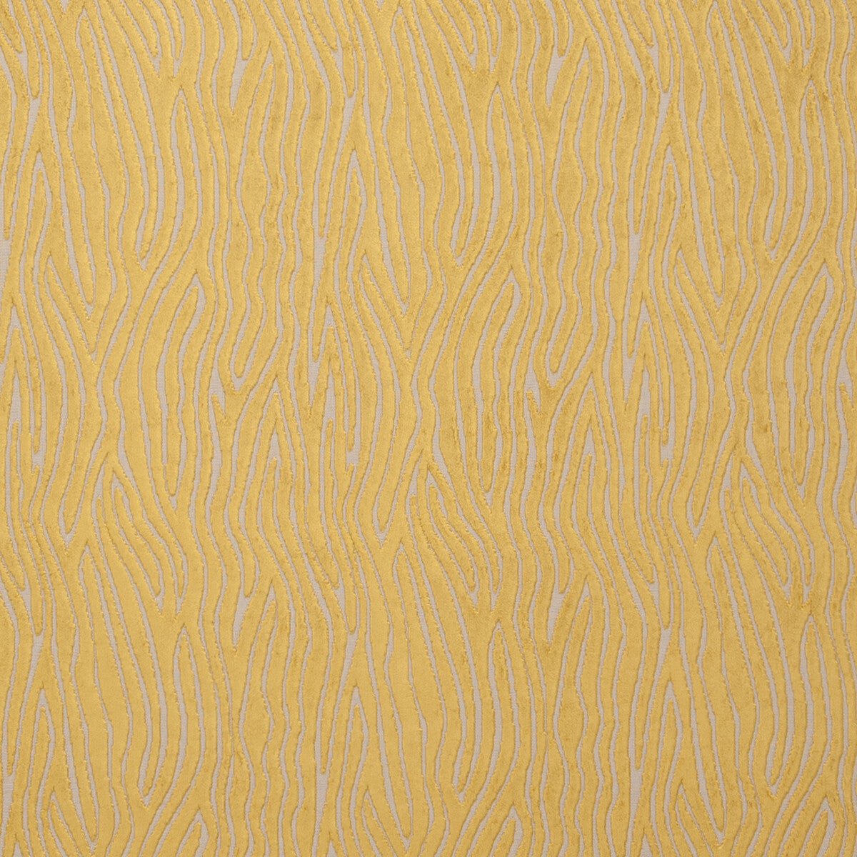 f074907cac0-onda-gold-clarke-and-clarke - CLARKE AND CLARKE Fabric