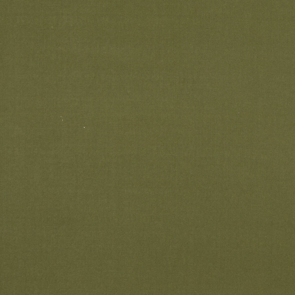 bf108387950-baker-house-velvet-moss-g-p-j-baker - G P & J BAKER Fabric