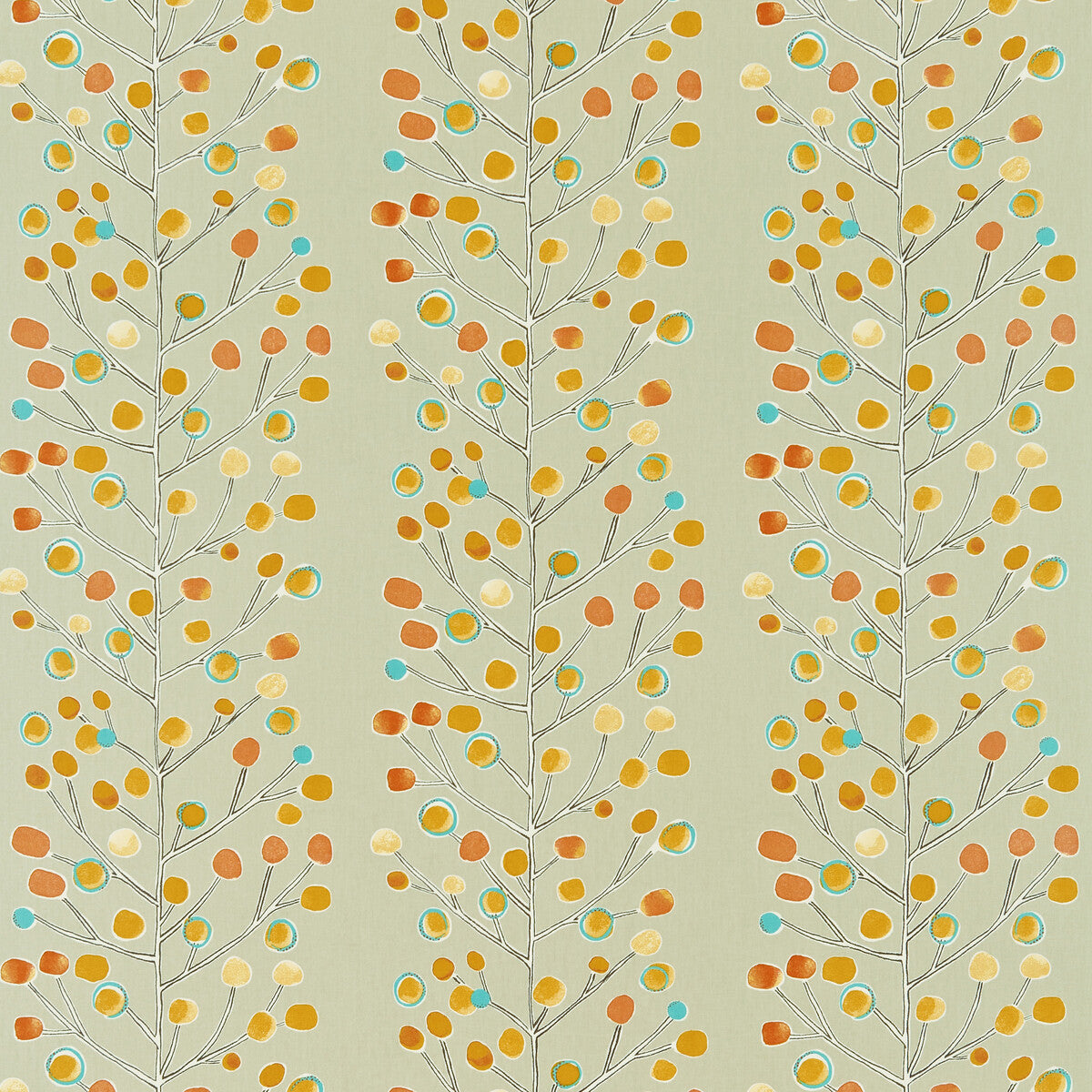 nmel120052scn0-berry-tree-neutraltangerine-scion