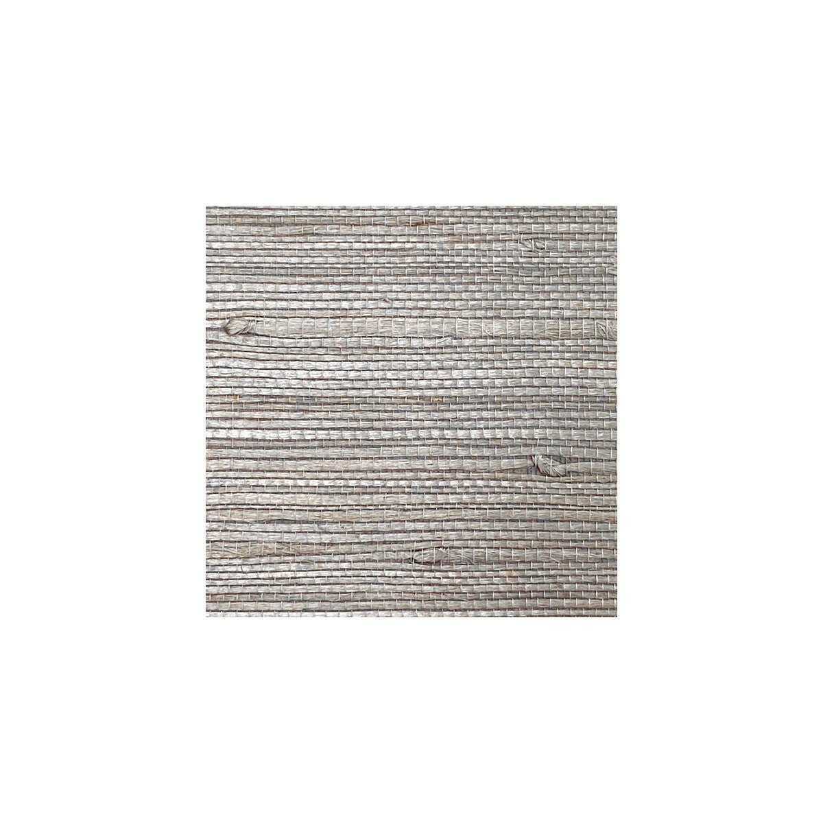 wnr1225wt0-bali-smoke-winfield-thybony - WINFIELD THYBONY Wallpaper