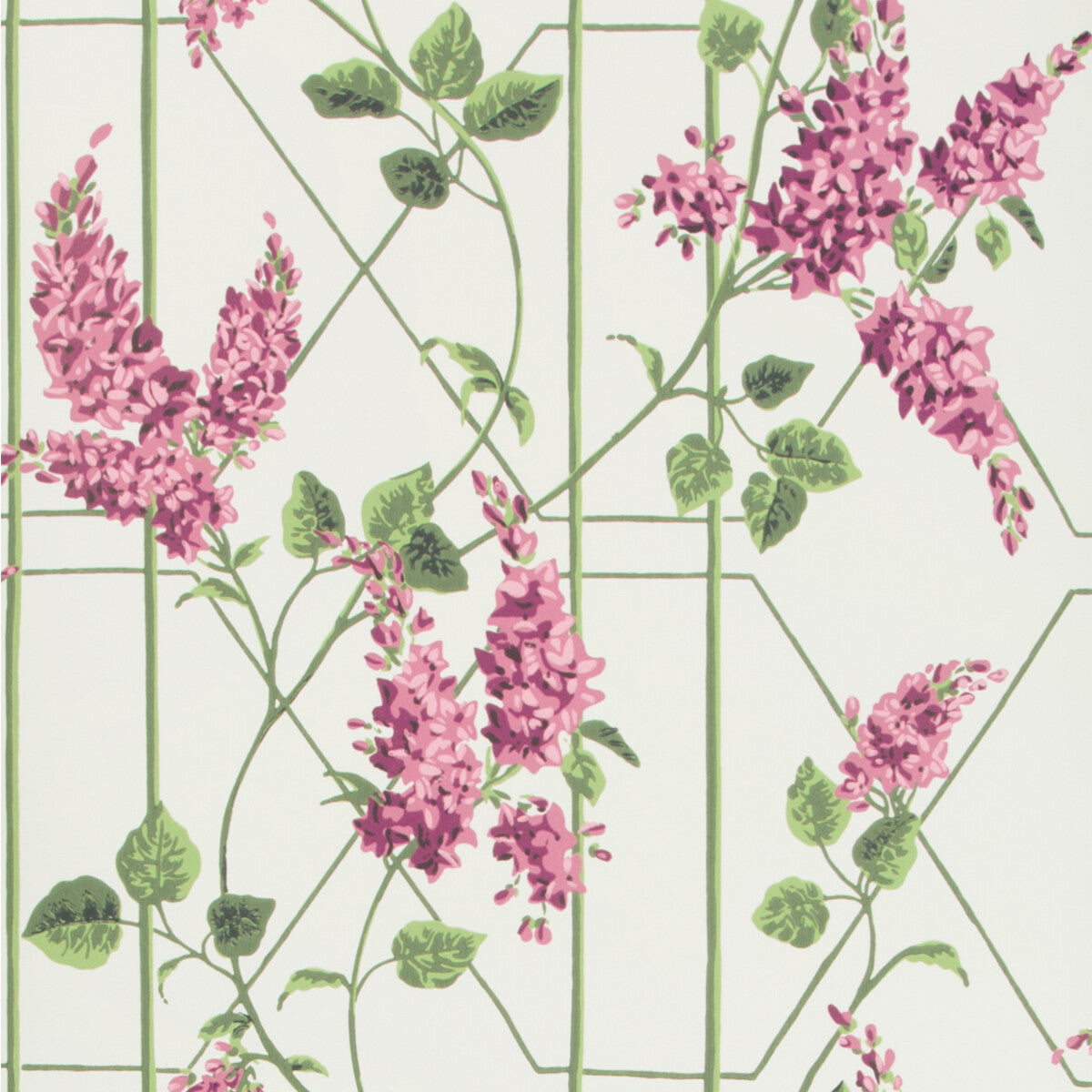 1155013cs0-wisteria-magentagreenwh-cole-son - COLE & SON Wallpaper