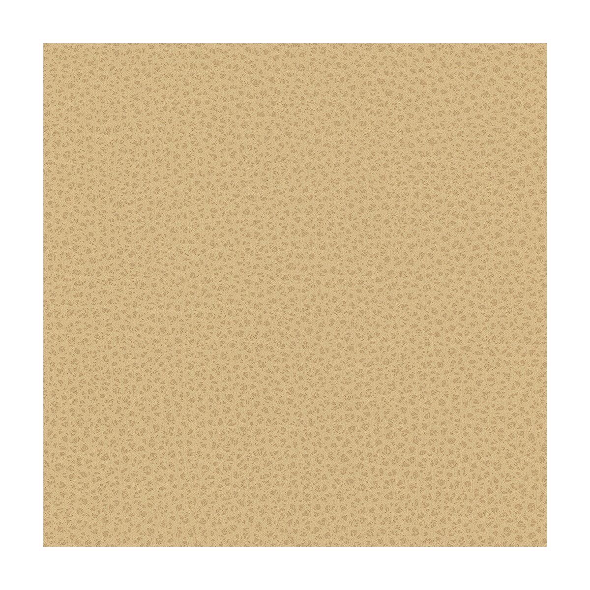 rigel160-kravet-design-rigel-16-kravet-design
