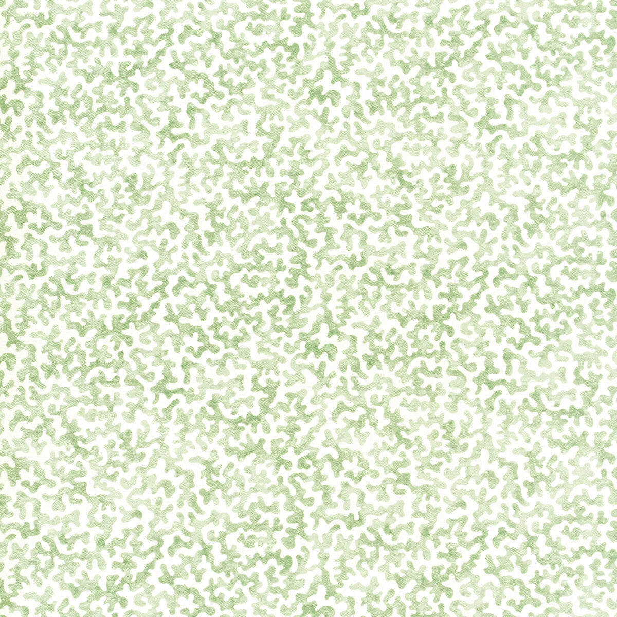 coralcoast300-coralcoast-sage-kravet-basics