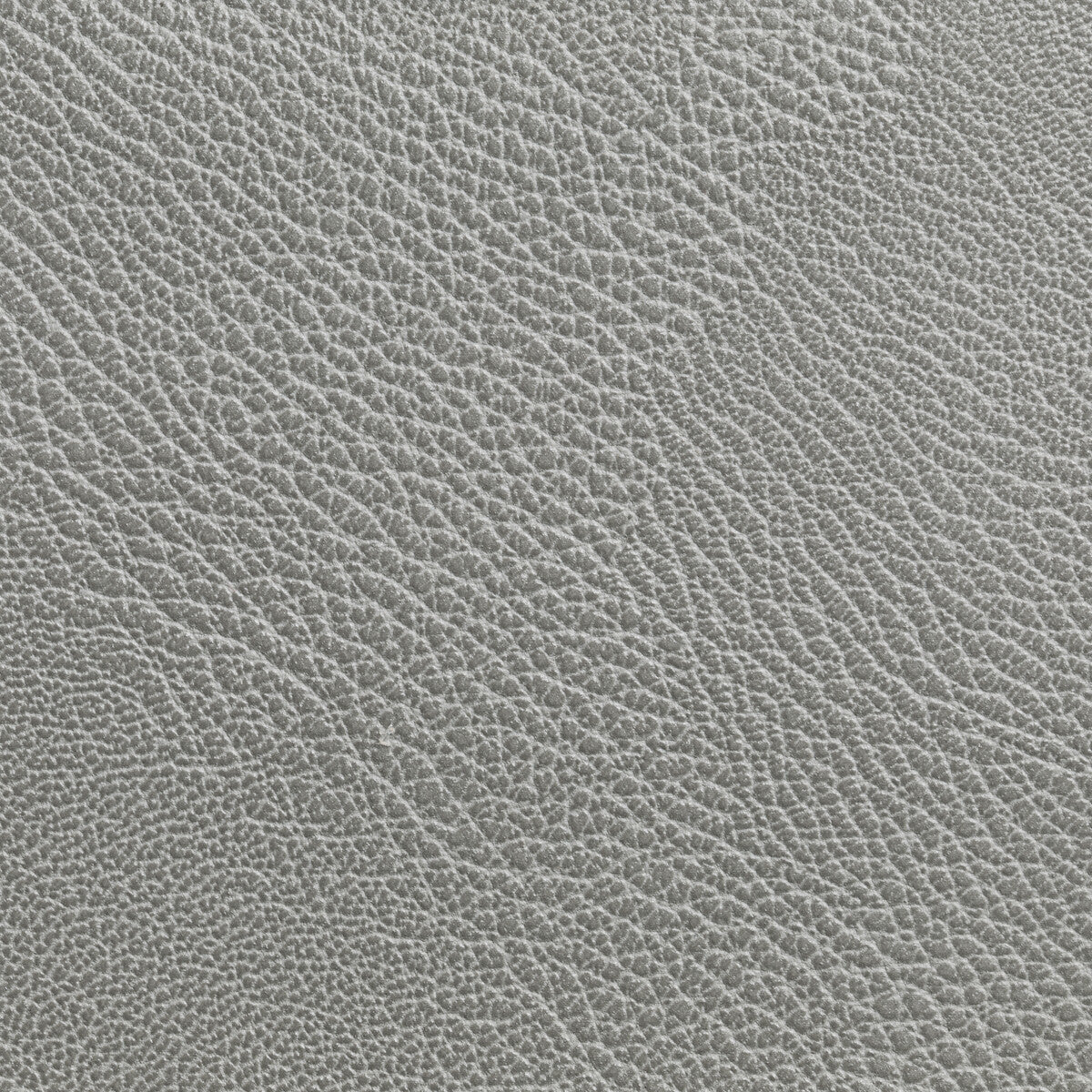 rustler110-rustler-storm-kravet-contract