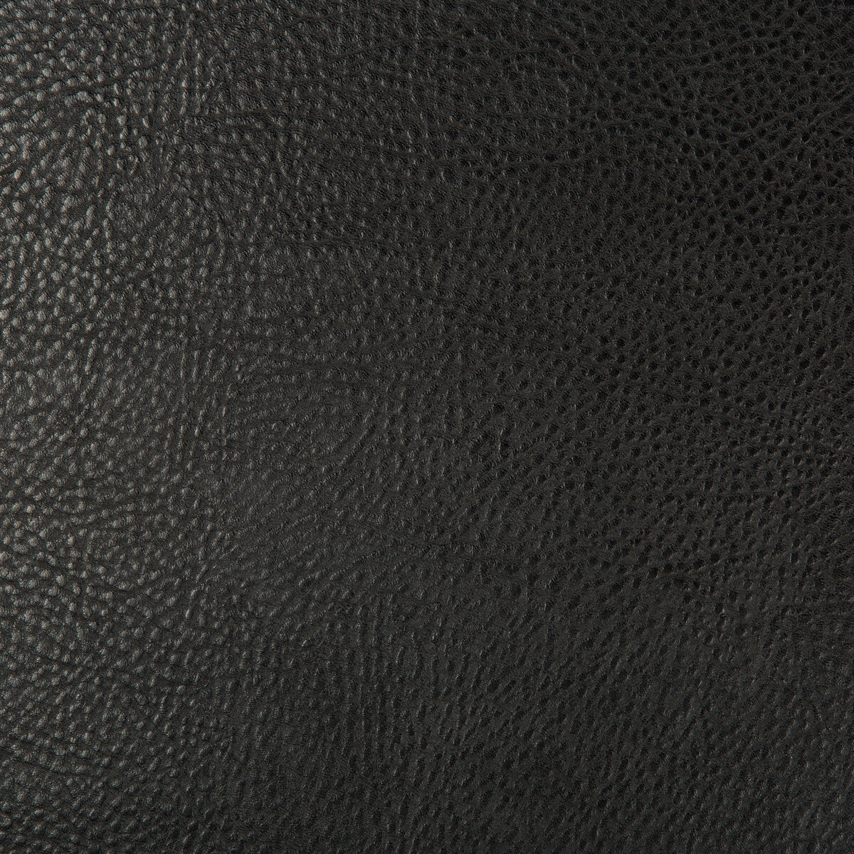 beholder80-kravet-design-beholder-8-kravet-design