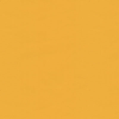 br-810813460-ninon-taffetas-sunburst-brunschwig-fils