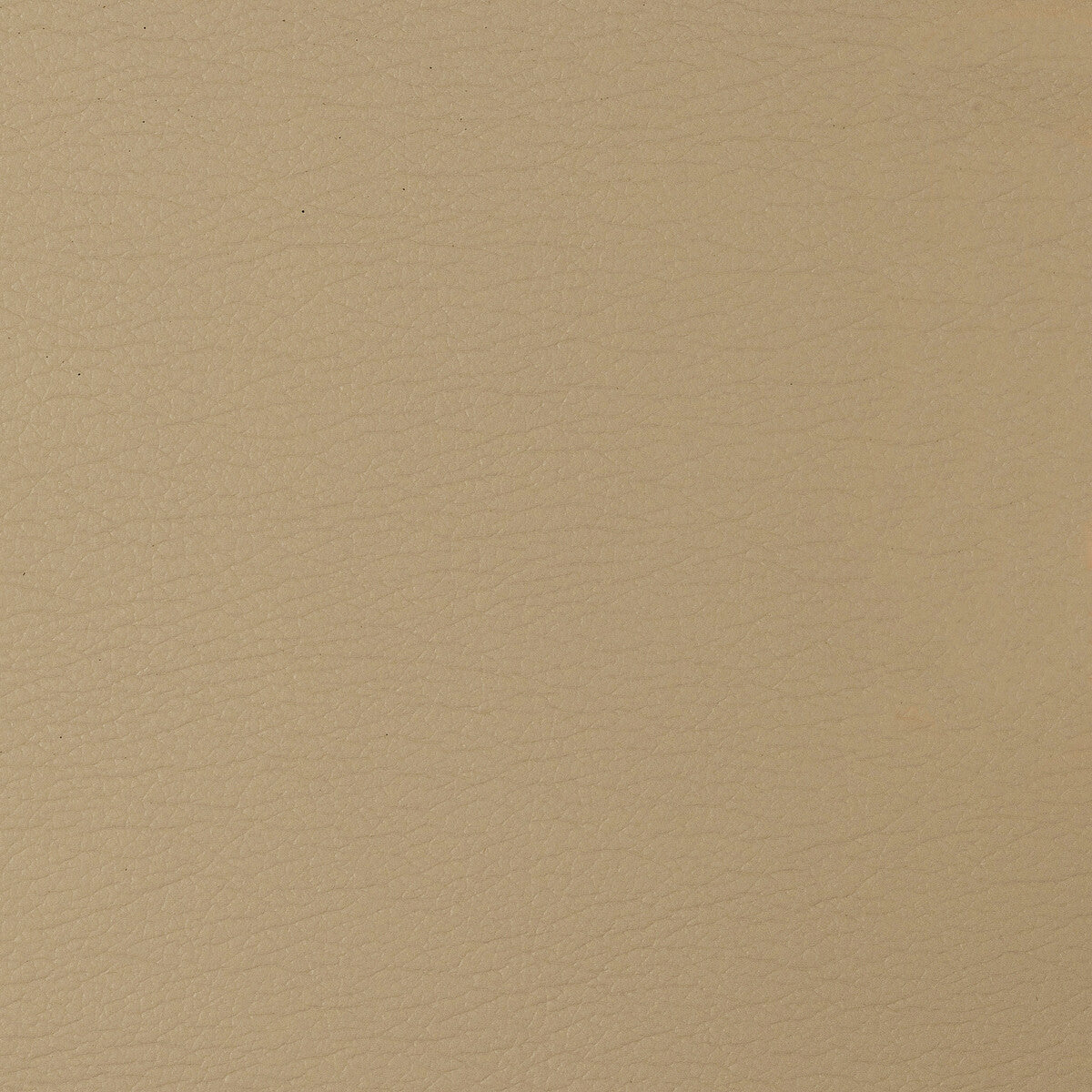 gato14160-kravet-design-gato-1416-kravet-design