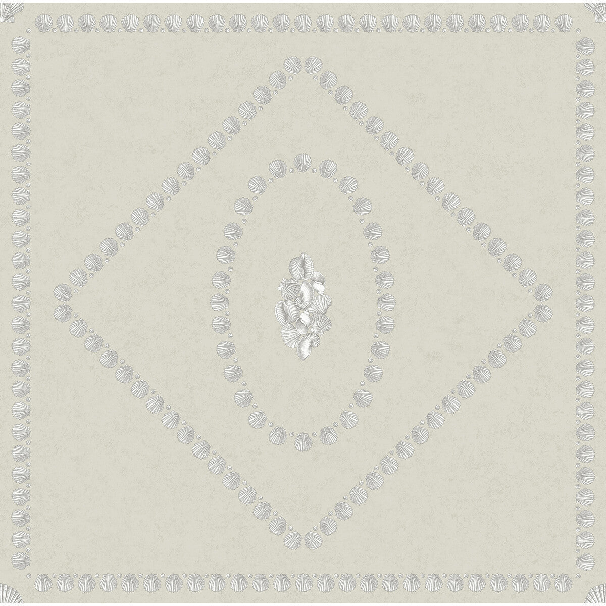 1235024cs0-conchiglie-pearl-cole-son