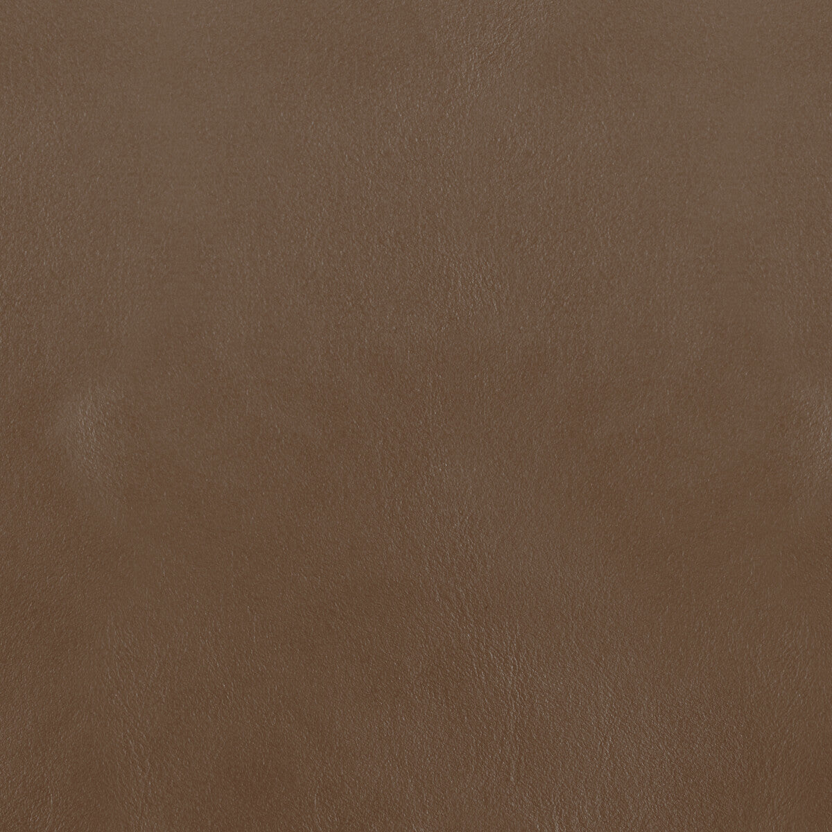 l-botajewel0-kravet-design-l-bota-jewel-kravet-design
